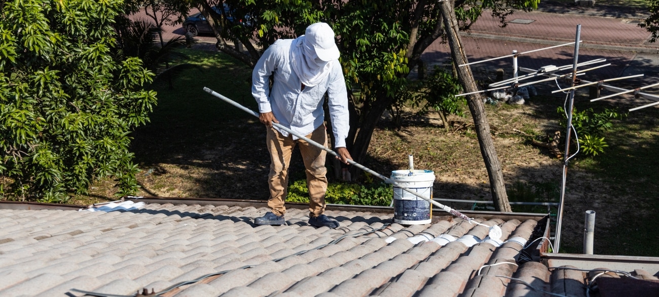 seasonal considerations for roof painting what you need to know
